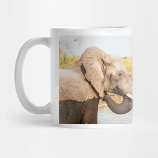 African Bush Elephant Feeding In River Mug